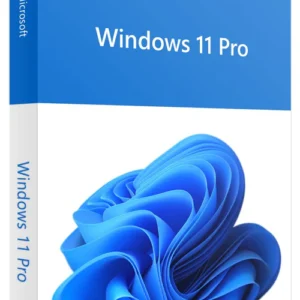 Windows 11